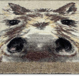 Donkey Door Mat
