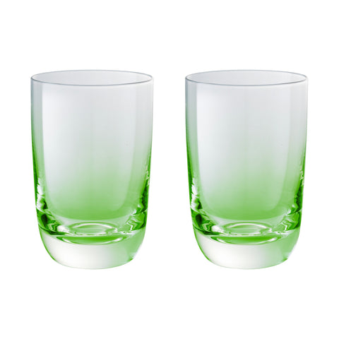 Denby Casual Glass Green Large Tumbler Set Of 2