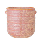 Rose Pink Lind Flowerpot