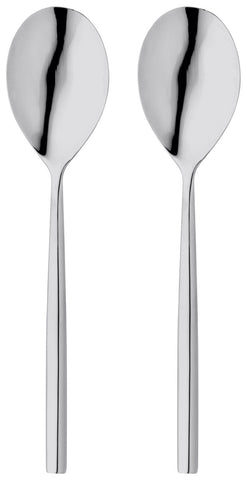 Stellar Rochester Polished Set Of 2 Serving Spoons Gift Box
