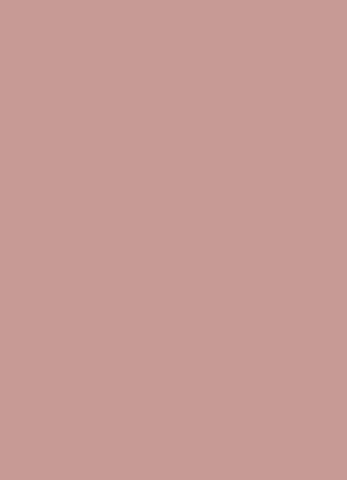 Farrow and Ball Cinder Rose No.246