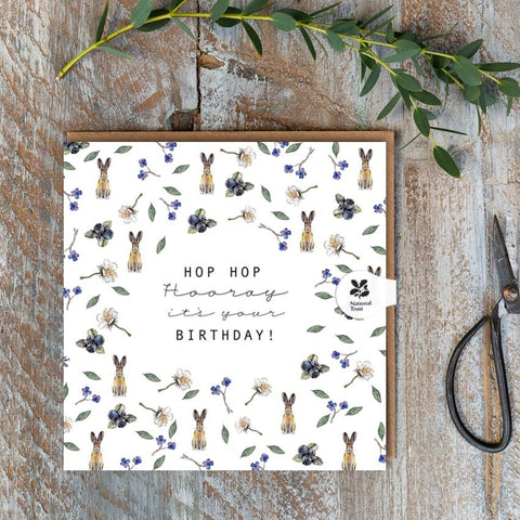 Hop Hop Hooray Birthday (Hare Pure)