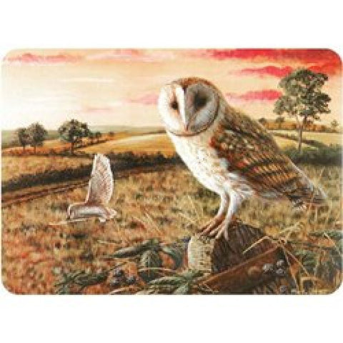 Stow Green Owl Glass Worktop Protector - Small