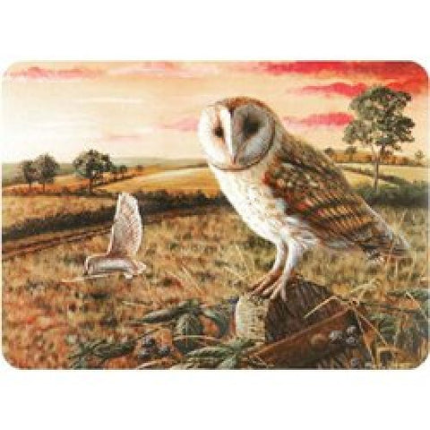 Stow Green Owl Glass Worktop Protector - Medium